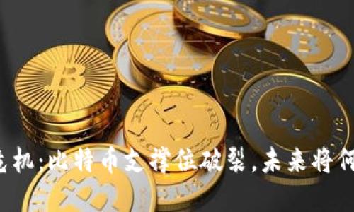 区块链危机：比特币支撑位破裂，未来将何去何从？
