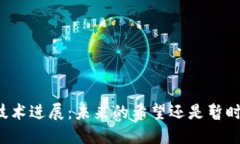 区块链技术进展：未来的希望还是暂时的热潮？