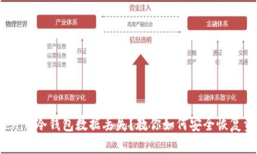 Tokenim冷钱包数据丢失？教你如何安全恢复资产！