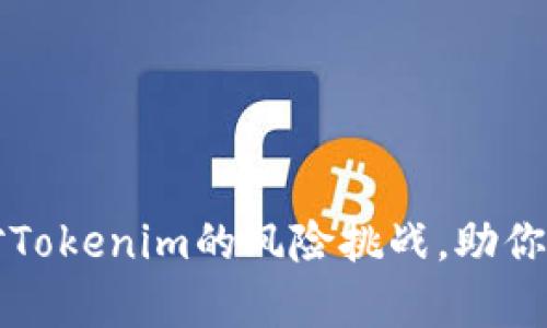 如何有效应对Tokenim的风险挑战，助你掌控投资未来