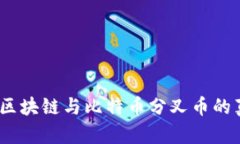 走出迷雾：区块链与比特币分叉币的真相与挑战