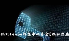 如何安全提现Tokenim钱包中的资金？揭秘潜在风险