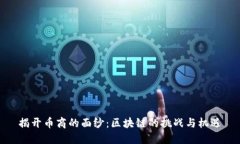 揭开币商的面纱：区块链的挑战与机遇