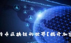 如何成功踏入比特币区块链的世界？揭开加密货