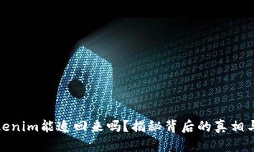 被盗的Tokenim能追回来吗？揭秘背后的真相与应对策略