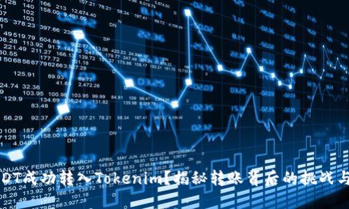如何将USDT成功转入Tokenim？揭秘转账背后的挑战与解决方案