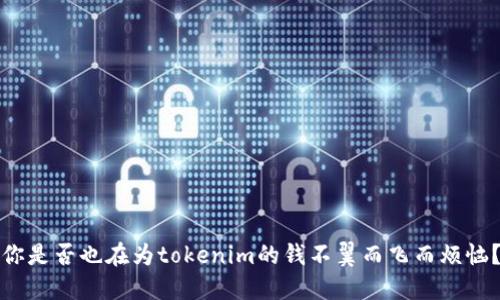 你是否也在为tokenim的钱不翼而飞而烦恼？