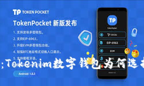 打破传统：Tokenim数字钱包为何选择中心化？