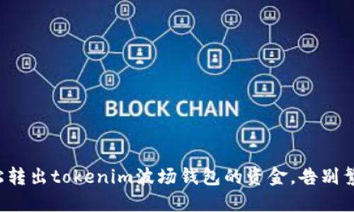如何轻松转出tokenim波场钱包的资金，告别繁琐操作！