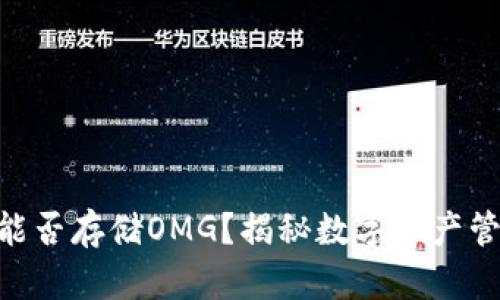 Tokenim能否存储OMG？揭秘数字资产管理的秘密