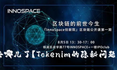 你的USDT去哪儿了？Tokenim的隐秘问题与解决方案