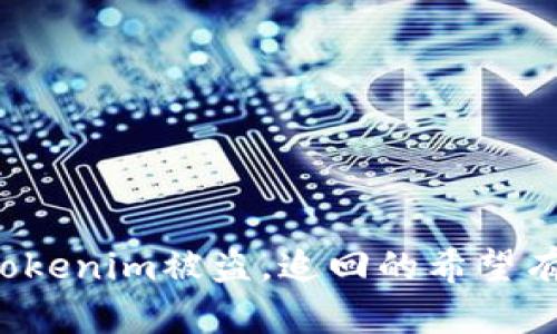 国内Tokenim被盗，追回的希望有多大？