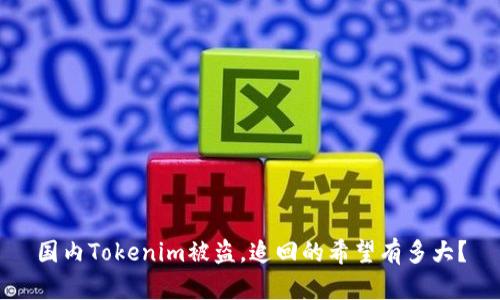 国内Tokenim被盗，追回的希望有多大？