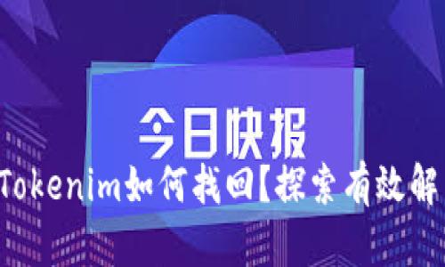 丢失的Tokenim如何找回？探索有效解决方法！