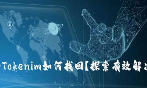 丢失的Tokenim如何找回？探索有效解决方法！