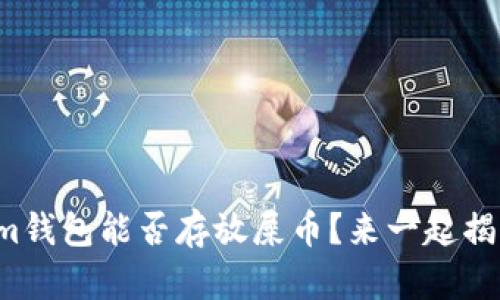 Tokenim钱包能否存放屎币？来一起揭开谜底！