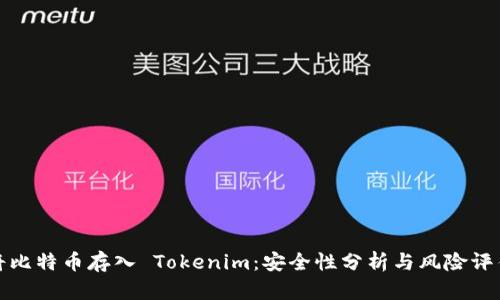 将比特币存入 Tokenim：安全性分析与风险评估
