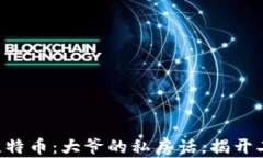 区块链和比特币：大爷的私房话，揭开二者的秘