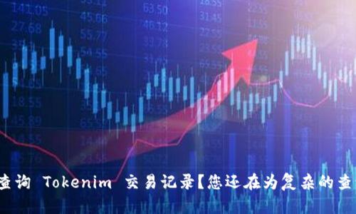 如何轻松快速查询 Tokenim 交易记录？您还在为复杂的查询过程烦恼吗？