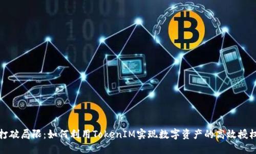 打破局限：如何利用TokenIM实现数字资产的高效授权