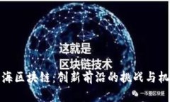 静海区块链：创新前沿的挑战与机遇