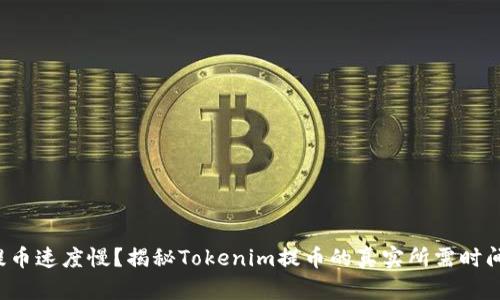 提币速度慢？揭秘Tokenim提币的真实所需时间！