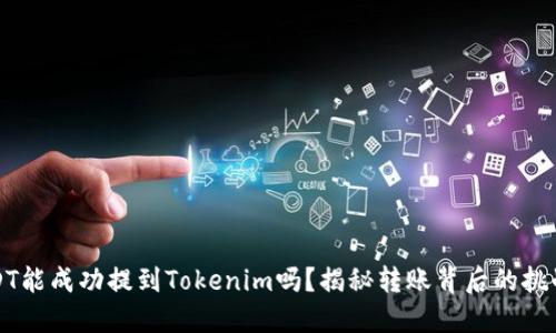 火币上的USDT能成功提到Tokenim吗？揭秘转账背后的挑战与解决方案