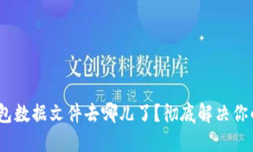 你的Tokenim钱包数据文件去哪儿了？彻底解决你的钱包丢失问题！