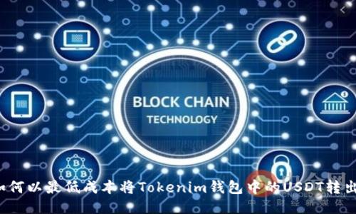 如何以最低成本将Tokenim钱包中的USDT转出？