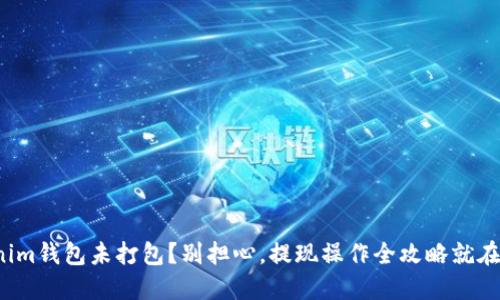 Tokenim钱包未打包？别担心，提现操作全攻略就在这里！