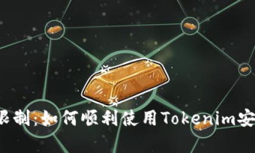打破地域限制：如何顺利使用Tokenim安卓国际版？