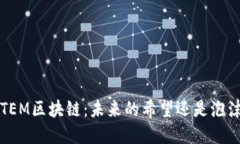 STEM区块链：未来的希望还是泡沫？