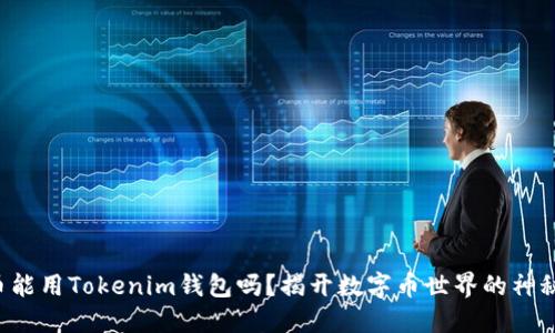 狗狗币能用Tokenim钱包吗？揭开数字币世界的神秘面纱！