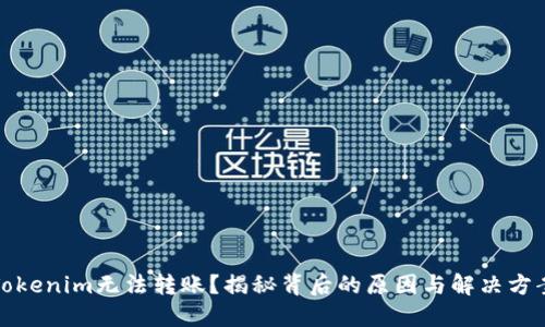 Tokenim无法转账？揭秘背后的原因与解决方案