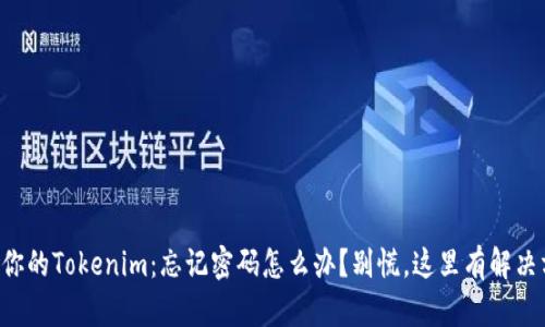 重拾你的Tokenim：忘记密码怎么办？别慌，这里有解决方案！