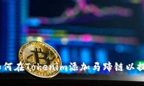 拥抱变化：如何在Tokenim添加马蹄链以提升项目价值