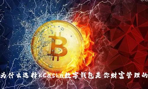 打破常规，为什么选择KCasha数字钱包是你财富管理的最佳决策？