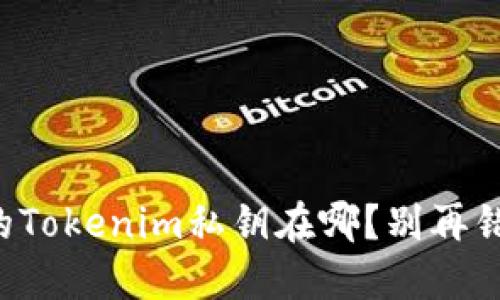 你的Tokenim私钥在哪？别再错过！
