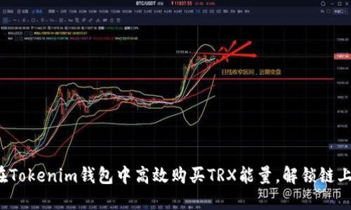 如何在Tokenim钱包中高效购买TRX能量，解锁链上自由？