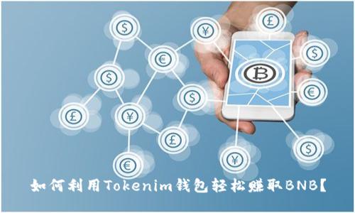 如何利用Tokenim钱包轻松赚取BNB？