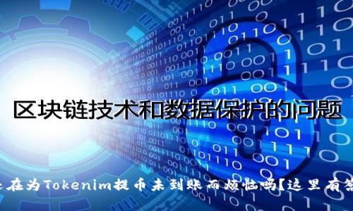 你还在为Tokenim提币未到账而烦恼吗？这里有答案！