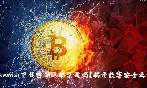 Tokenim下载密钥还能使用吗？揭开数字安全之谜！
