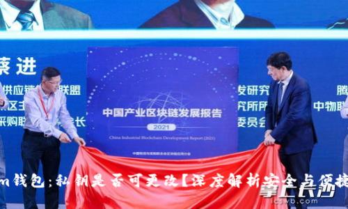 Tokenim钱包：私钥是否可更改？深度解析安全与便捷的选择