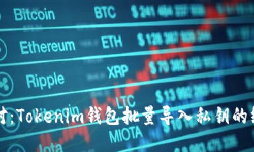 轻松应对：Tokenim钱包批量导入私钥的终极指南