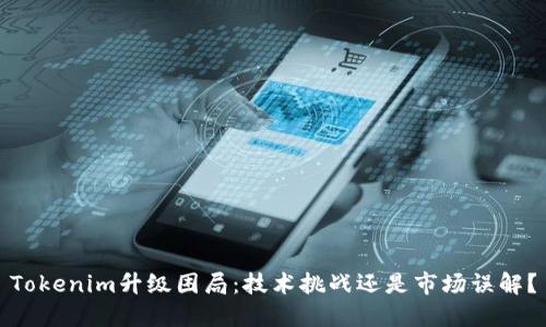 Tokenim升级困局：技术挑战还是市场误解？