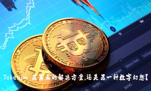 Tokenim 是真正的解决方案，还是另一种数字幻想？