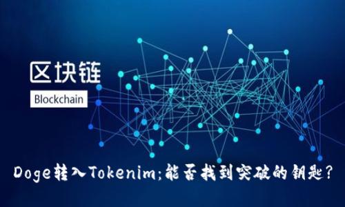 Doge转入Tokenim：能否找到突破的钥匙?