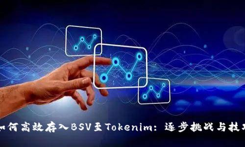 如何高效存入BSV至Tokenim: 逐步挑战与技巧