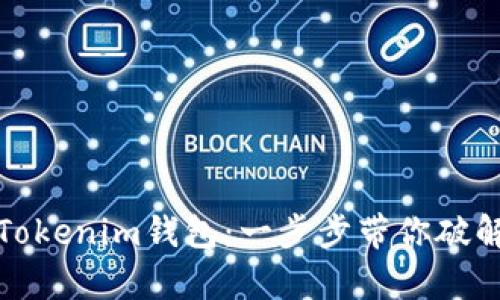 轻松导入Tokenim钱包：一步步带你破解复杂流程