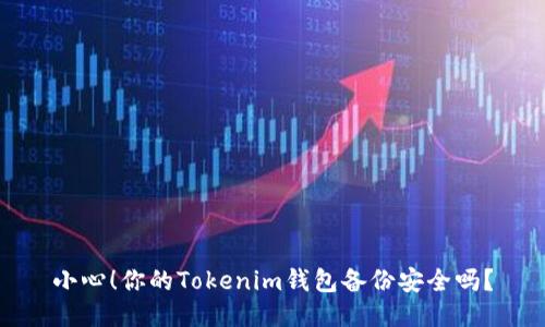 小心！你的Tokenim钱包备份安全吗？